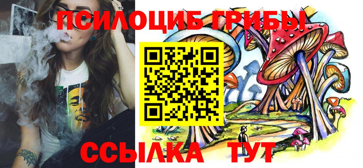 Новошахтинск  Псилоцибиновые грибы Magic Shrooms  Вход с VPN  Псилоцибиновые грибы ЛСД 