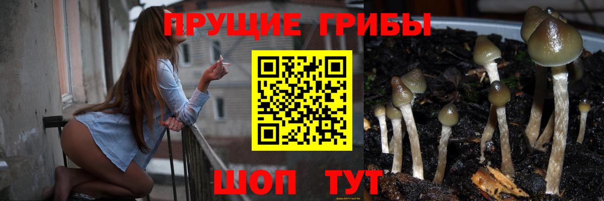 Галлюциногенные грибы MAGIC MUSHROOMS Новошахтинск